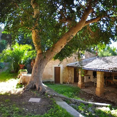 Prázdninový dům Parete Srl - Casa Ninfee Terrasini