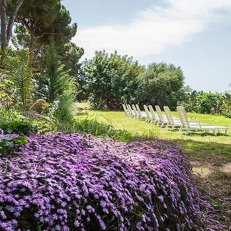 Parete Srl - Casa Ninfee Prázdninový dům Terrasini